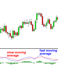 How to Use the MACD Indicator - FX141.COM